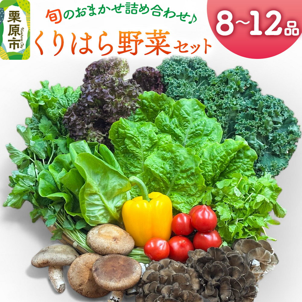 くりはら野菜セット（旬のおまかせ詰め合わせ 8〜12品 ）