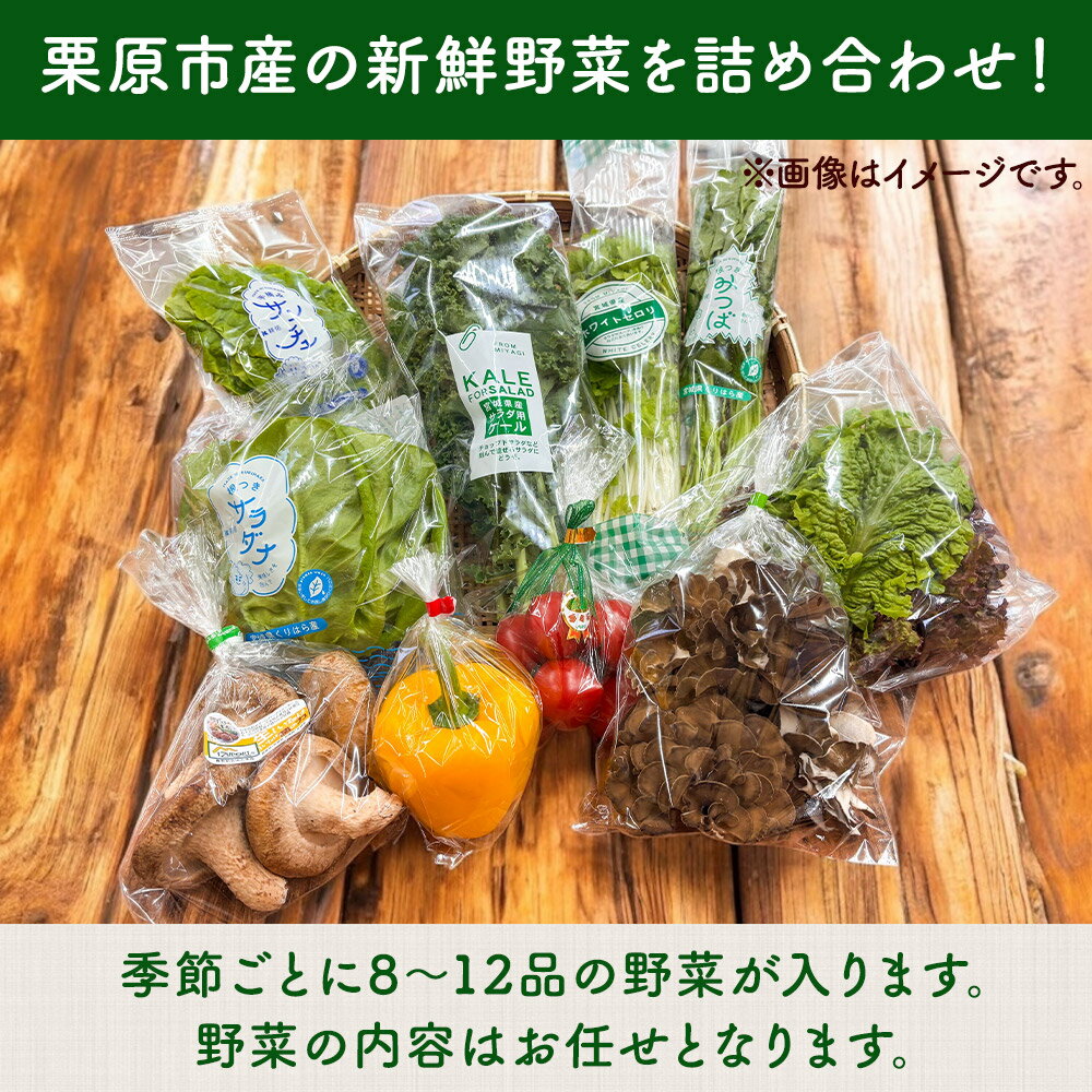 【ふるさと納税】くりはら野菜セット（旬のおまかせ詰め合わせ 8〜12品 ） - 画像2