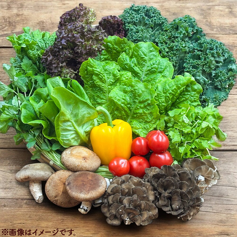 【ふるさと納税】くりはら野菜セット（旬のおまかせ詰め合わせ 8〜12品 ） - 画像3