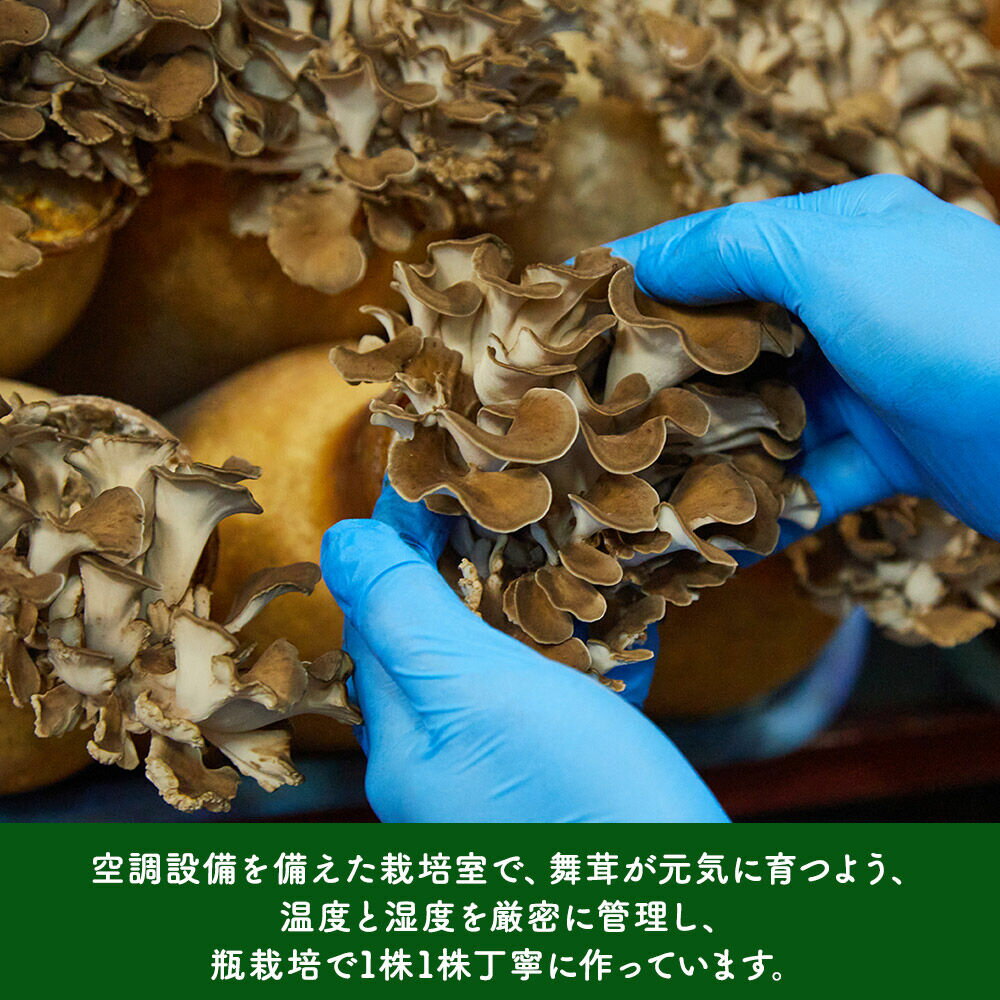 【ふるさと納税】栗原市産舞茸 4袋セット 約1kg（260g×4袋） - 画像3