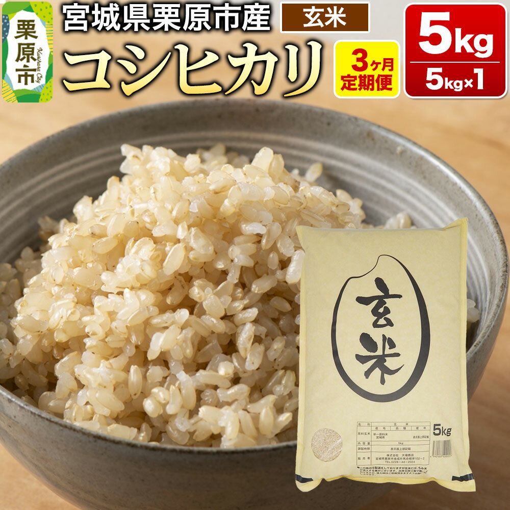 《定期便3ヶ月》【令和7年産・玄米】宮城県栗原産 コシヒカリ 毎月5kg (5kg×1袋)×3ヶ月 [米 こめ コシヒカリ 美味 おいしい 宮城 栗原 大場商店]