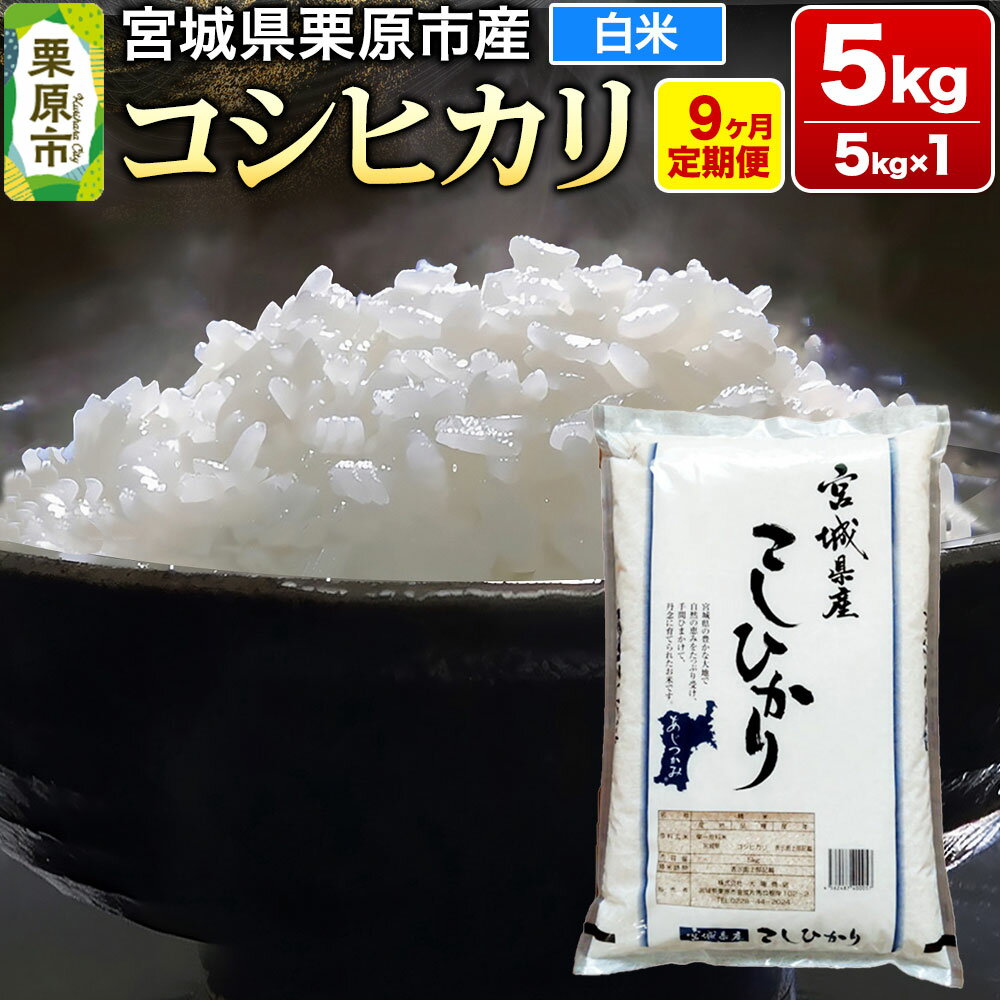 《定期便9ヶ月》【令和7年産・白米】宮城県栗原産 コシヒカリ 毎月5kg (5kg×1袋)×9ヶ月 [米 こめ コシヒカリ 美味 おいしい 宮城 栗原 大場商店]