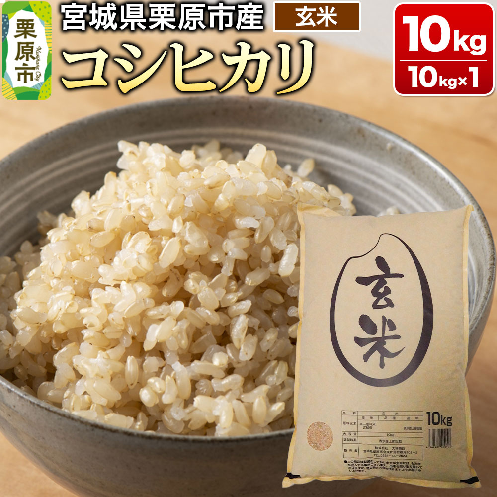 【令和7年産・玄米】宮城県栗原市産 コシヒカリ 10kg (10kg×1袋) [米 こめ コシヒカリ 美味 おいしい 宮城 栗原 大場商店]