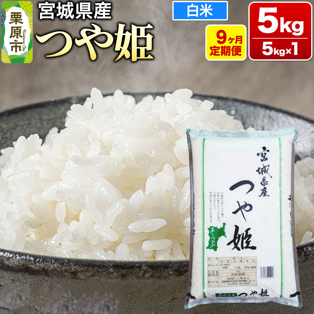 《定期便9ヶ月》【令和7年産・白米】宮城県産 つや姫 毎月5kg (5kg×1袋)×9ヶ月 [米 こめ つや姫 つやひめ 美味 おいしい 宮城 栗原 大場商店]