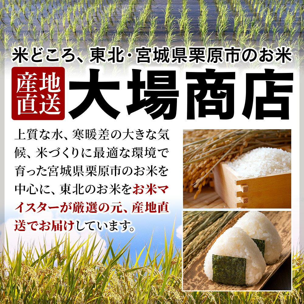【ふるさと納税】《定期便12ヶ月》【令和7年産・白米】宮城県産 つや姫 毎月5kg (5kg×1袋)×12ヶ月 - 画像2