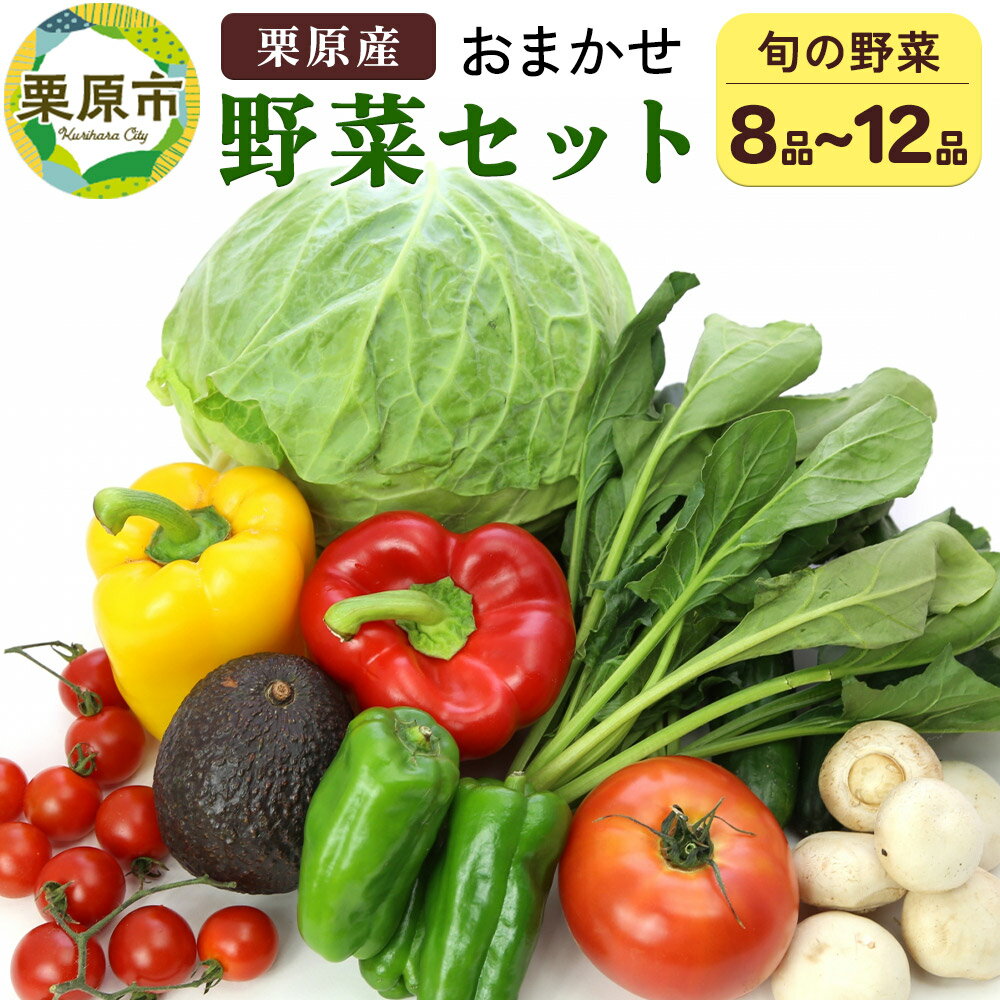野菜 栗原産 お任せ 野菜セット（8品〜12品） 旬の 新鮮 お野菜