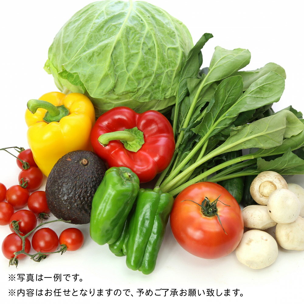【ふるさと納税】野菜 栗原産 お任せ 野菜セット（8品〜12品） 旬の 新鮮 お野菜 - 画像2