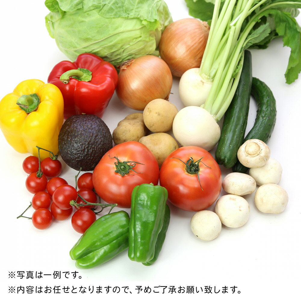 【ふるさと納税】野菜 栗原産 お任せ 野菜 セット（10品〜15品） 旬の 新鮮 お野菜 - 画像2