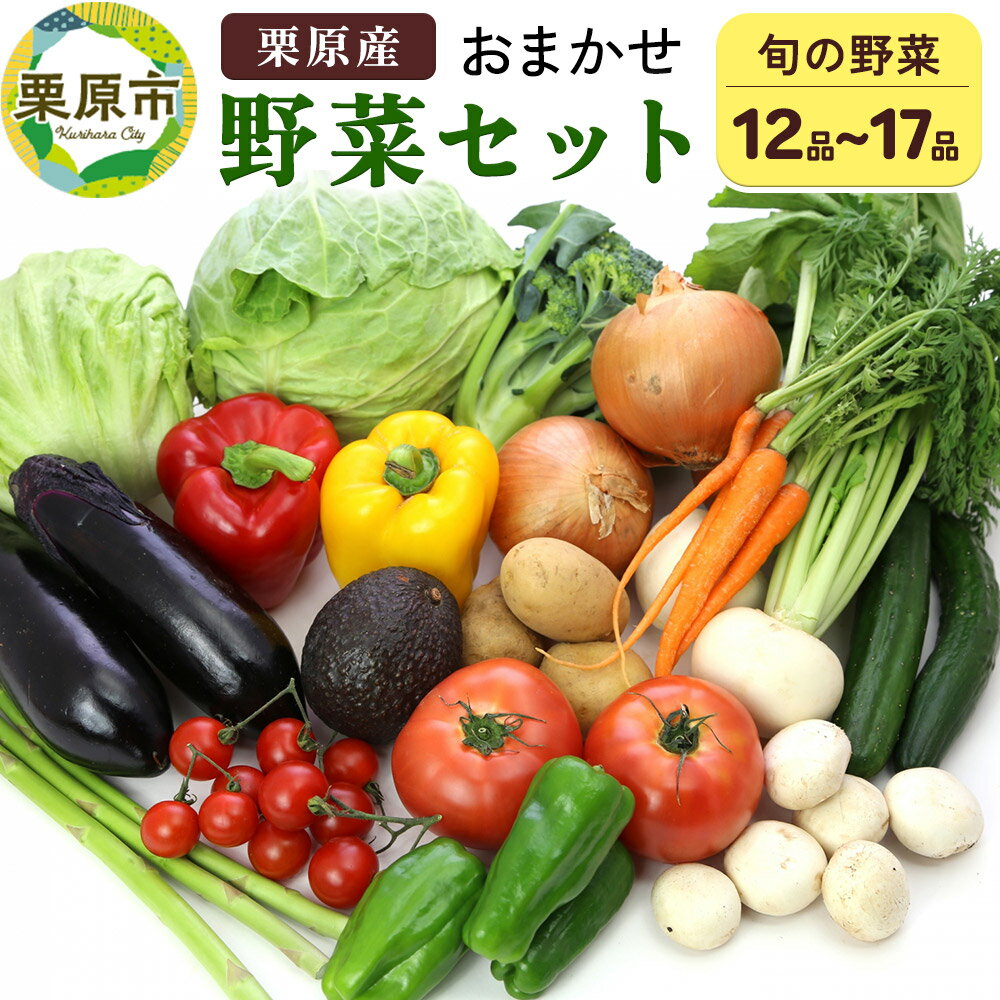 野菜 栗原産 お任せ 野菜 セット（12品〜17品） 旬の 新鮮 お野菜