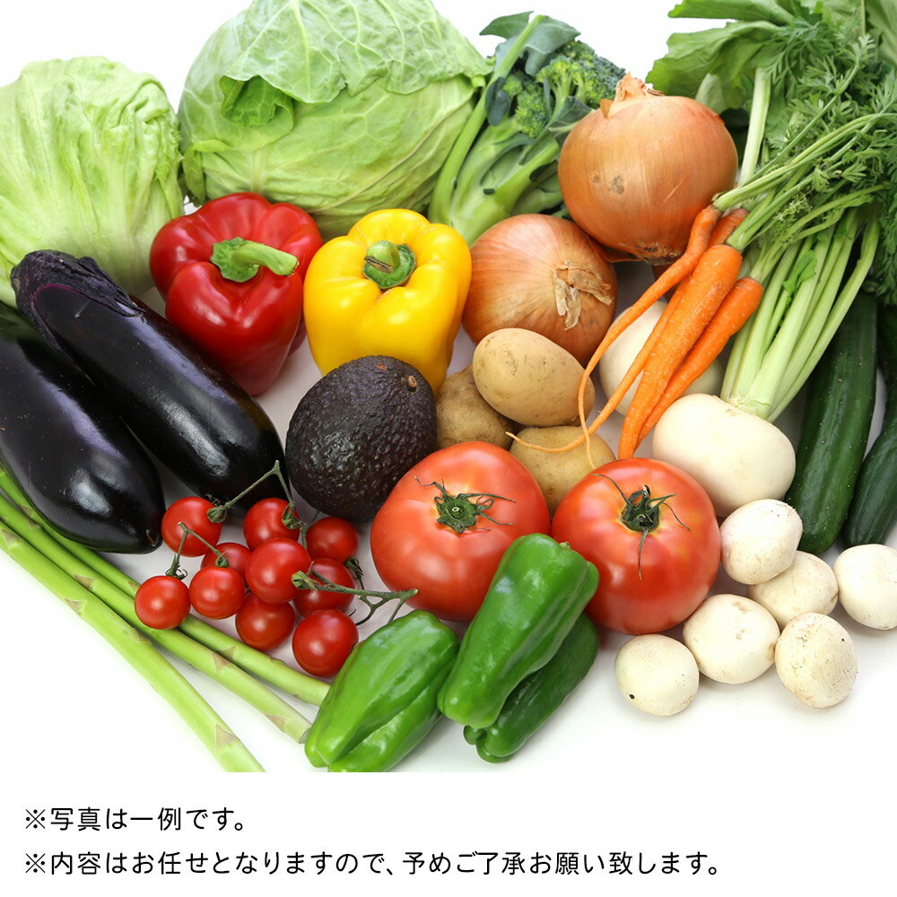 【ふるさと納税】野菜 栗原産 お任せ 野菜 セット（12品〜17品） 旬の 新鮮 お野菜 - 画像2