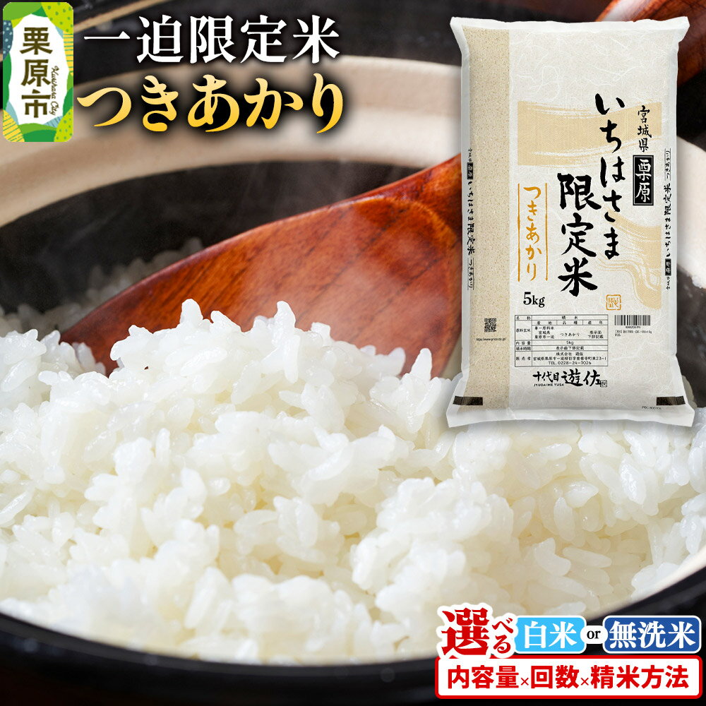 【白米】令和7年産 一迫限定米 つきあかり【選べる白米・無洗米×容量×お届け回数】