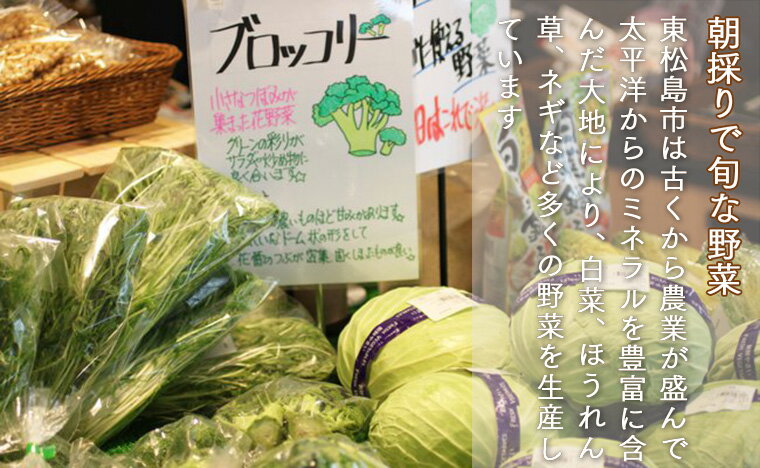 【ふるさと納税】新鮮 季節の野菜 おまかせ詰め合わせセット 宮城県 東松島市 朝採り 野菜 産直 - 画像3