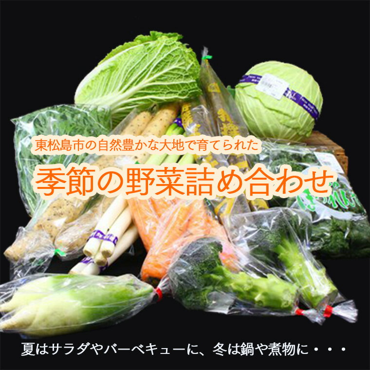 【ふるさと納税】新鮮 季節の野菜 おまかせ詰め合わせセット 宮城県 東松島市 朝採り 野菜 産直 - 画像2