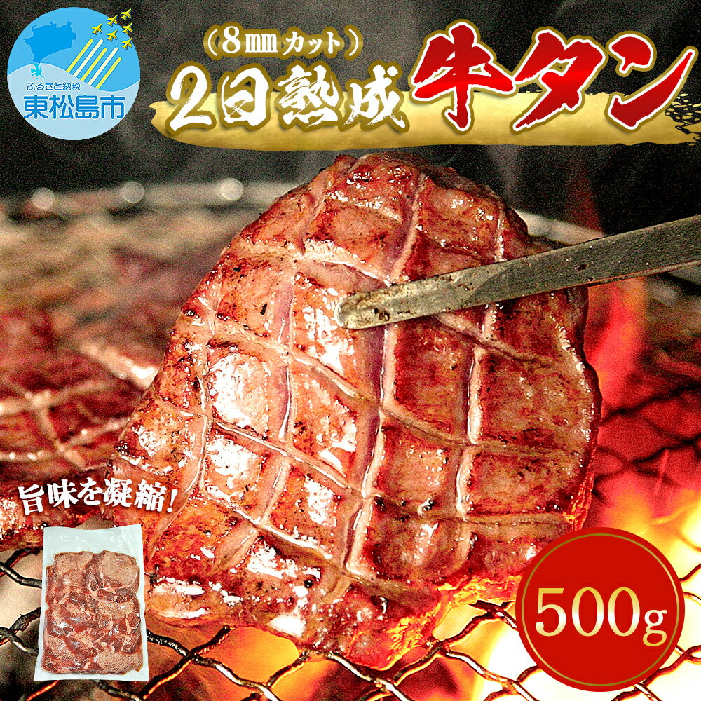 牛タン 熟成 厚切 牛たん 塩味 500g 冷凍 焼肉 バーベキュー 熟成牛たん 宮城県 東松島市 佐利 A
