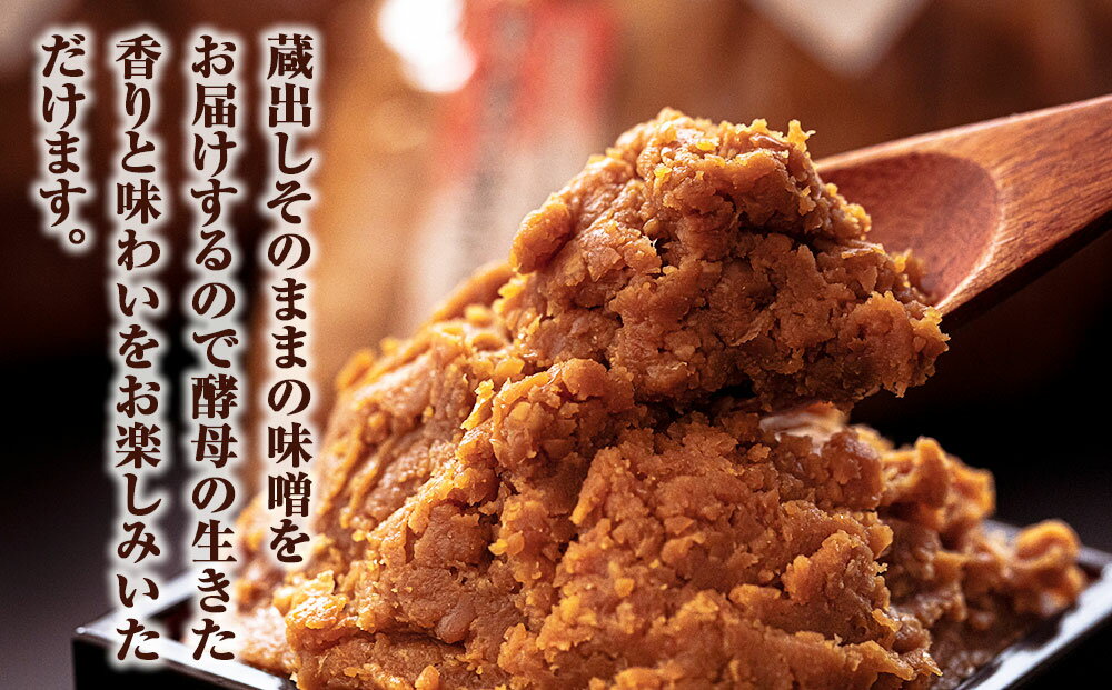 【ふるさと納税】味噌 長寿味噌 生みそ3種（合計3kg) 仙台味噌 白味噌 赤味噌 米味噌 合わせ味噌 宮城県 東松島市 C サムネイル3