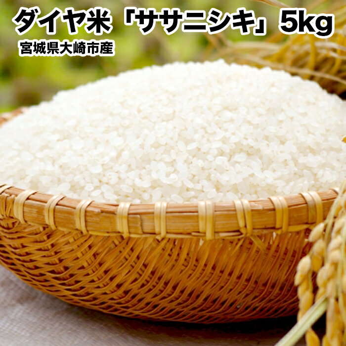 《令和7年産》宮城県大崎市産ササニシキ「ダイヤ米」白米5kg｜希少な無農薬ブランド米・精米済・ご飯に最適【送料無料・ふるさと納税返礼品】