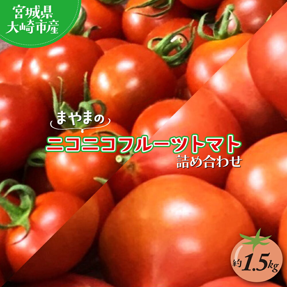宮城県大崎市産｜まやまのニコニコフルーツトマト詰め合わせ 約1.5kg【第3回トマト選手権 最高金賞受賞｜先行予約受付中｜2026年発送】