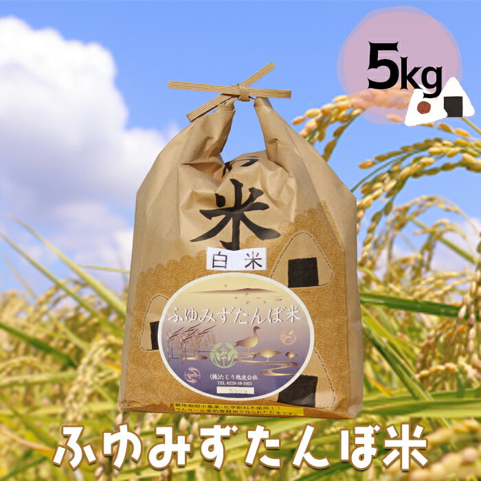 宮城県産 無農薬白米「ふゆみずたんぼ米」5kg｜大崎市田尻のブランド米・ご飯に最適【精米済・送料無料】