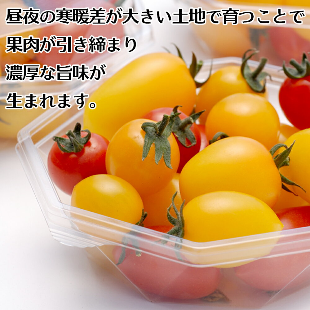 【ふるさと納税】甘みがぎゅっと詰まった 宮城県大崎市鹿島台産 彩りミニトマト詰合せ 2kg - 画像2