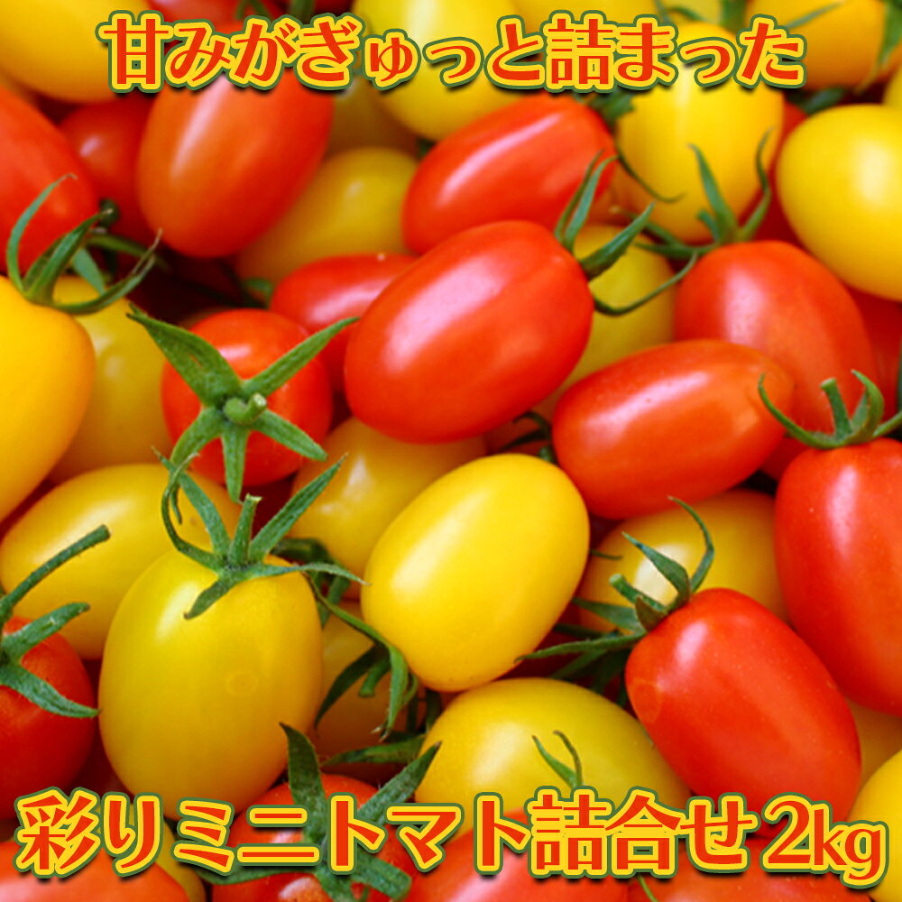 甘みがぎゅっと詰まった 宮城県大崎市鹿島台産 彩りミニトマト詰合せ 2kg