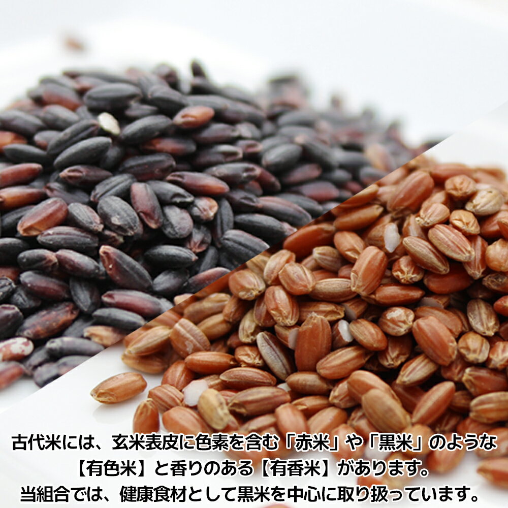 【ふるさと納税】古代米（黒米・赤米）セット｜宮城県大崎市産｜たじり古代稲生産組合が育てた抗酸化力の高い健康米 - 画像2