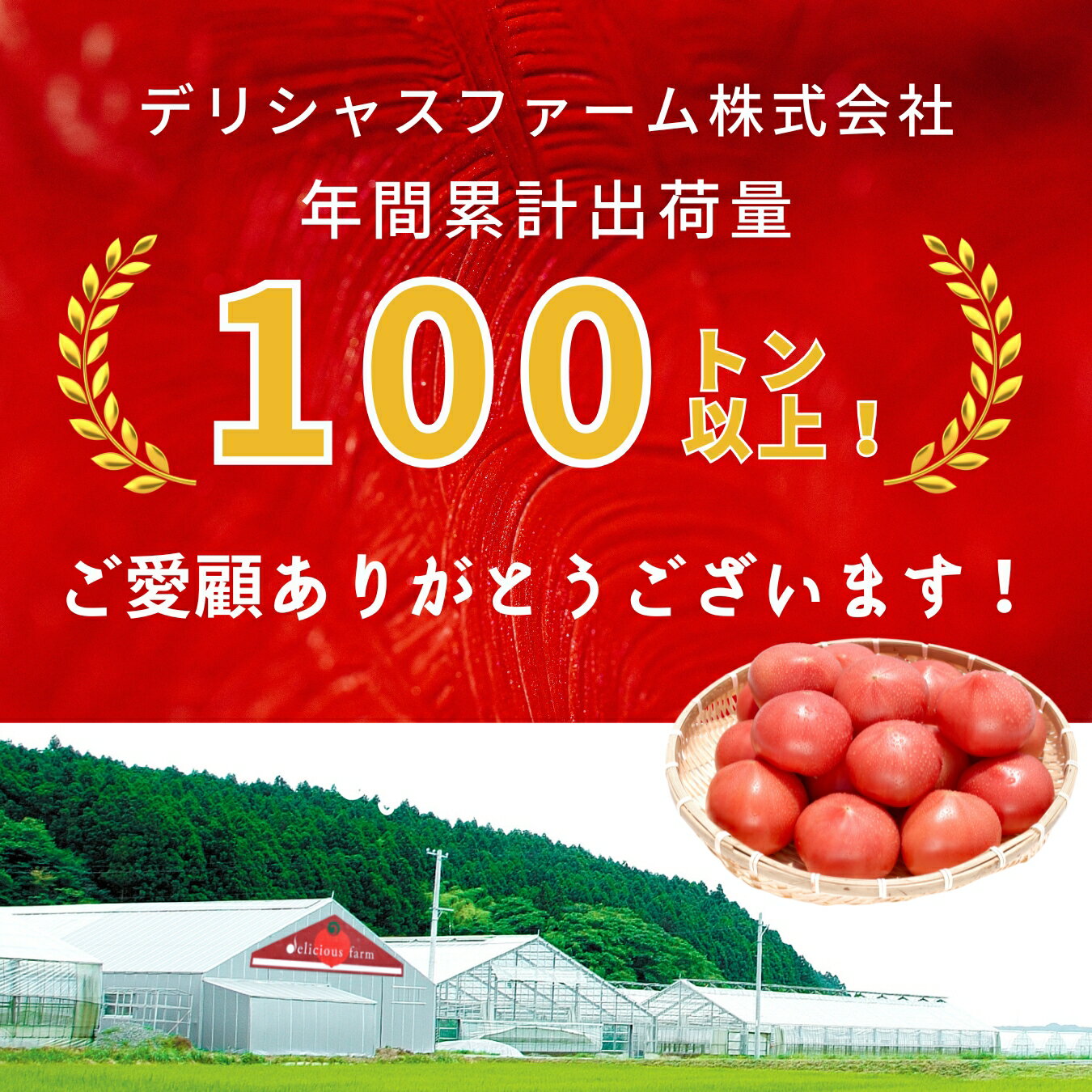 【ふるさと納税】【糖度8.5度以上】スーパー麗月トマト 1kg｜冬期育ちの濃厚な甘み・産地直送の完熟トマト - 画像3