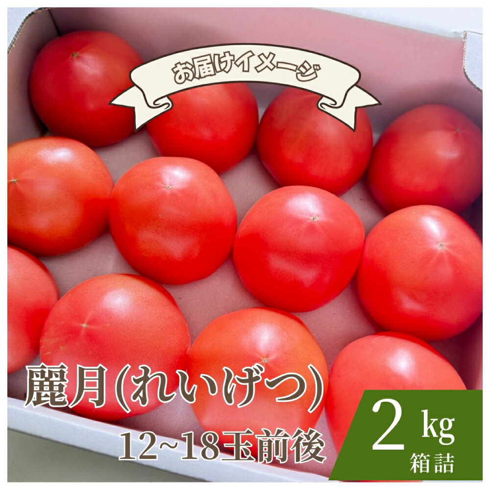 【糖度7度以上】麗月トマト 2kg｜冬期育ちの濃厚な甘み・産地直送の完熟トマト