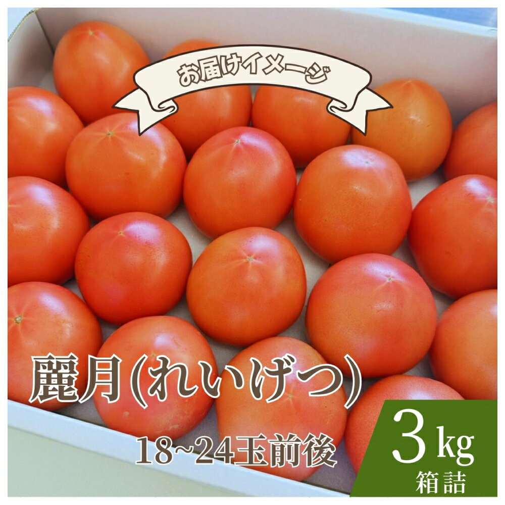 【糖度7度以上】麗月トマト 3kg｜冬期育ちの濃厚な甘み・産地直送の完熟トマト