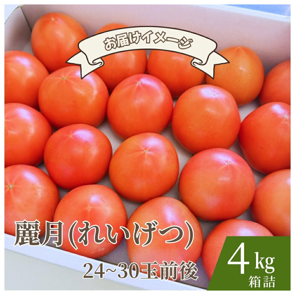 【糖度7度以上】麗月トマト 4kg｜冬期育ちの濃厚な甘み・産地直送の完熟トマト