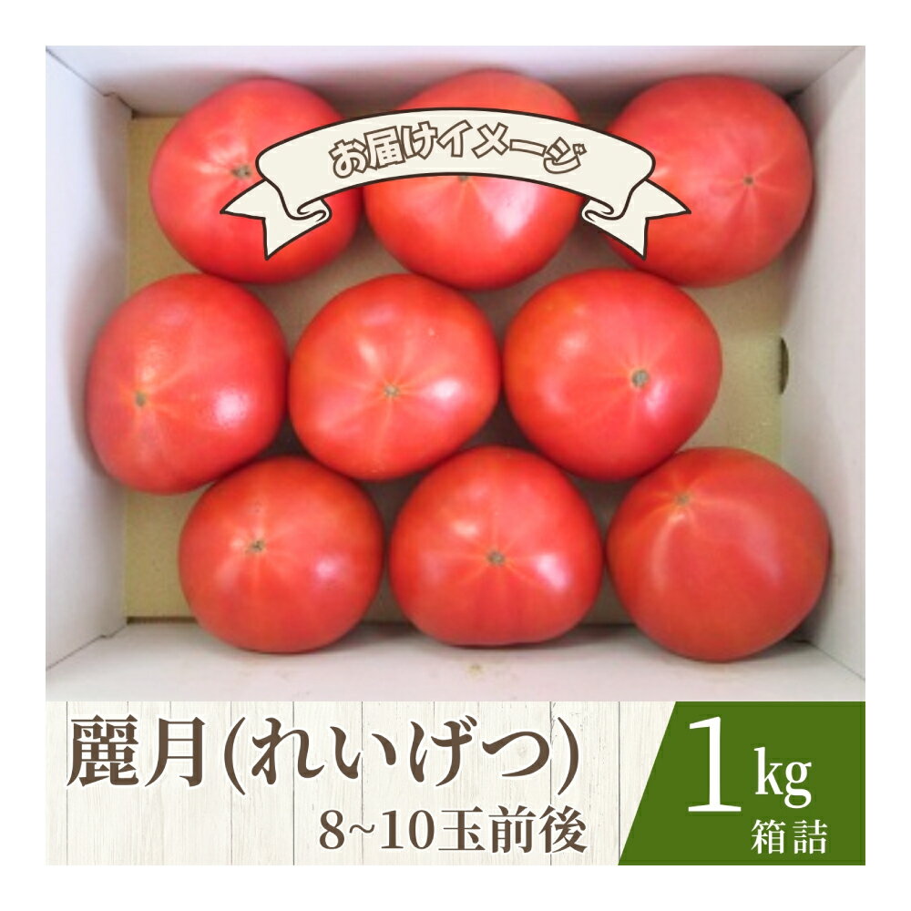 【糖度7度以上】麗月トマト 1kg｜冬期育ちの濃厚な甘み・産地直送の完熟トマト
