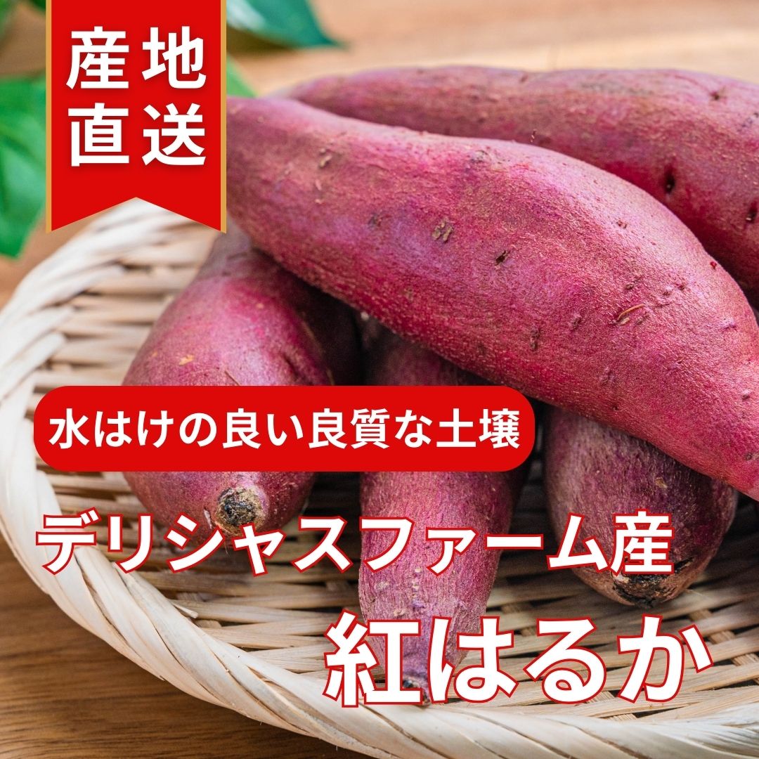 【ふるさと納税】【干し芋】おためしセット｜紅はるか使用・平干し/スティック/丸干しの3種食べ比べ - 画像2