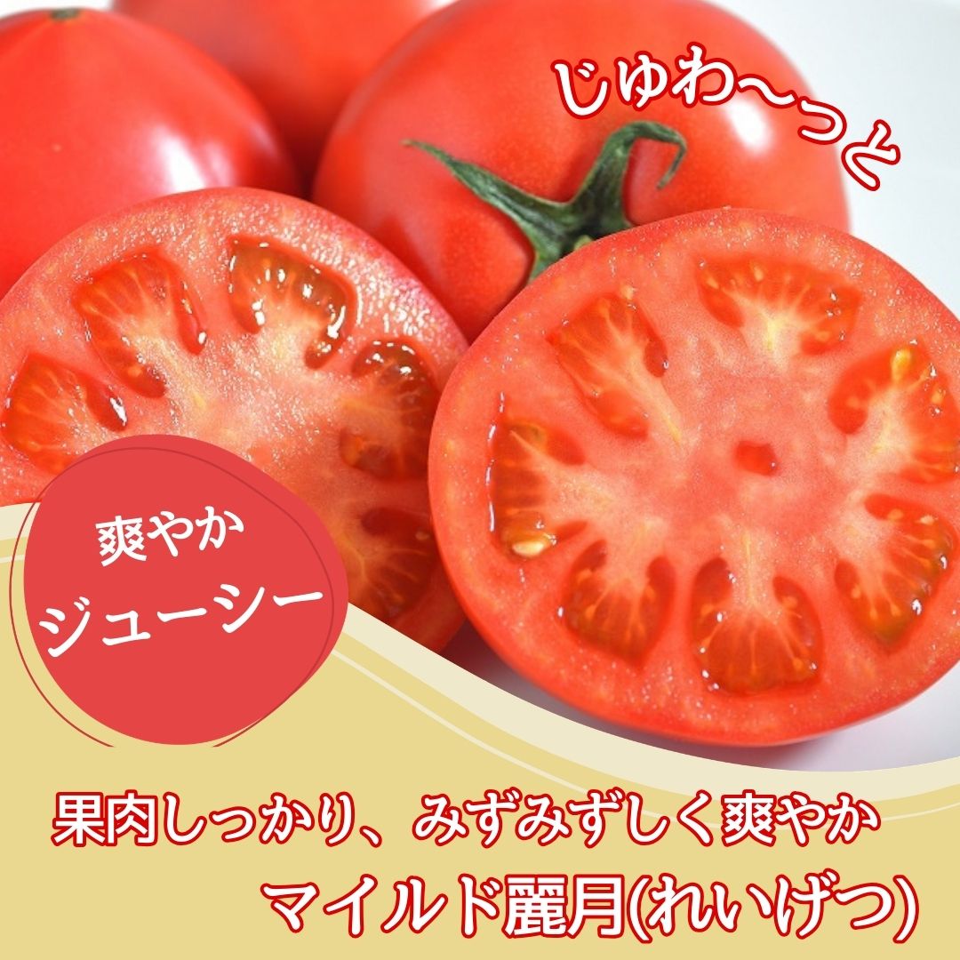 【やさしい甘さ】マイルド麗月トマト 3kg｜まろやか風味・産地直送の完熟トマト