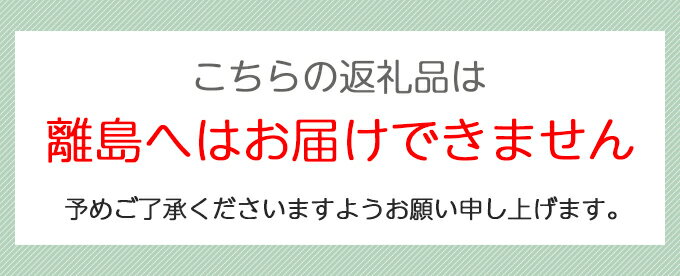 【ふるさと納税】初学者限定 ドローン 入門講座 (修了証明書発行) ｜初めてのドローン 空撮 テクニック ドローンサッカー 国家資格 農薬散布 初歩 初学者 限定 [0271] サムネイル3
