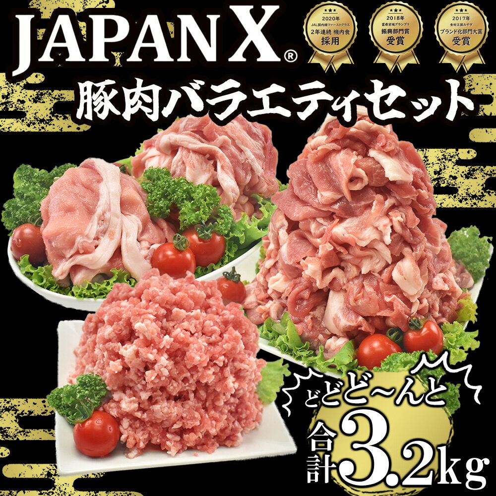 【ふるさと納税】豚肉 小分け 切り落し JAPAN X 豚肉バラエティセット 3.2kg 切落し スライス ミンチ 送料無料 肉 グルメ 人気 冷凍 時短 国産 【04301-0366】 ふるさと納税宮城県 ふるさと納税蔵王町 サムネイル2