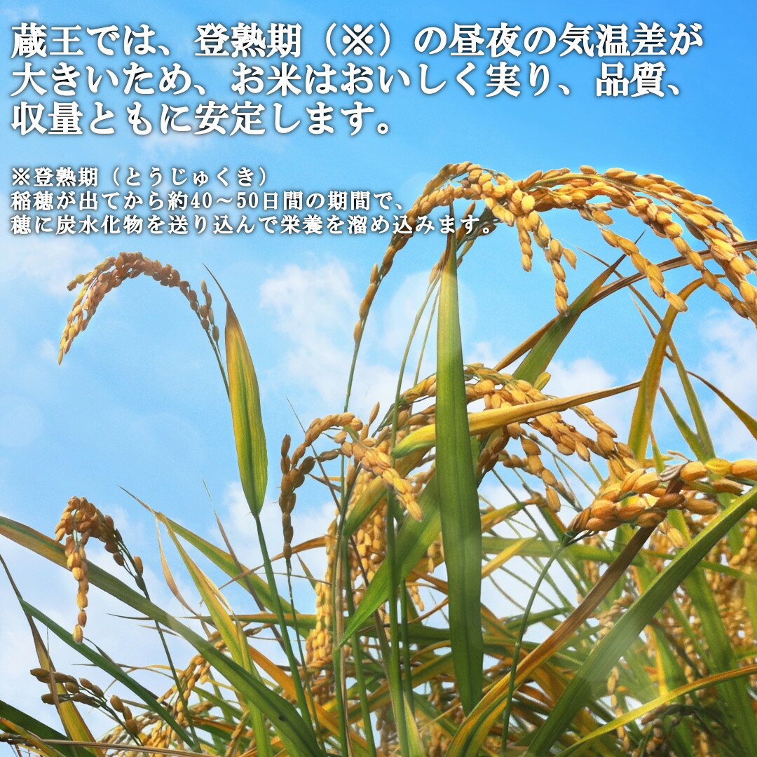 【ふるさと納税】＜令和7年産米＞蔵王産　我妻の米（つや姫）　玄米5kg　【04301-0383】 - 画像2