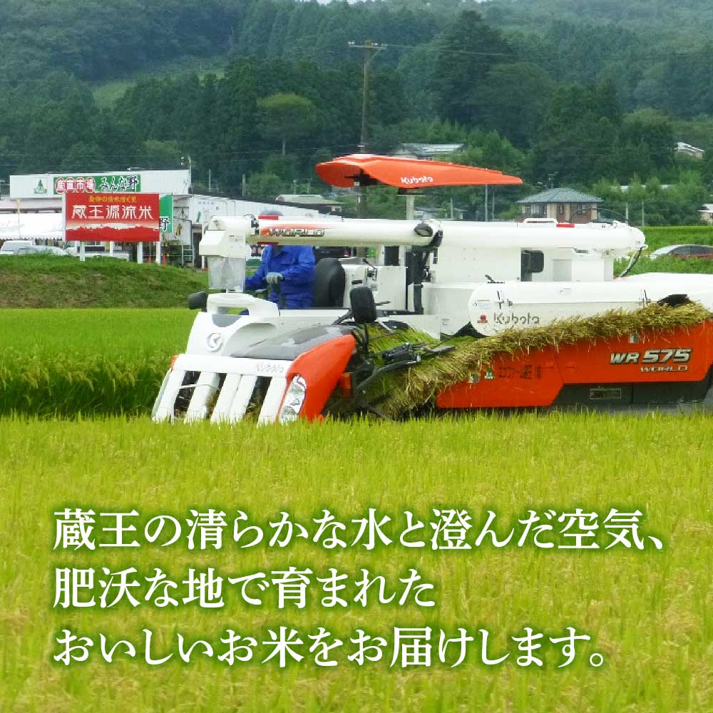 【ふるさと納税】【令和7年産米】蔵王源流米 ひとめぼれ精米 5kg ＜選べるお届け回数＞ 5kg×3回・計15kg／5kg×5回・計25kg／5kg×10回・計50kg 定期便【04301-0958・162～164】 - 画像2
