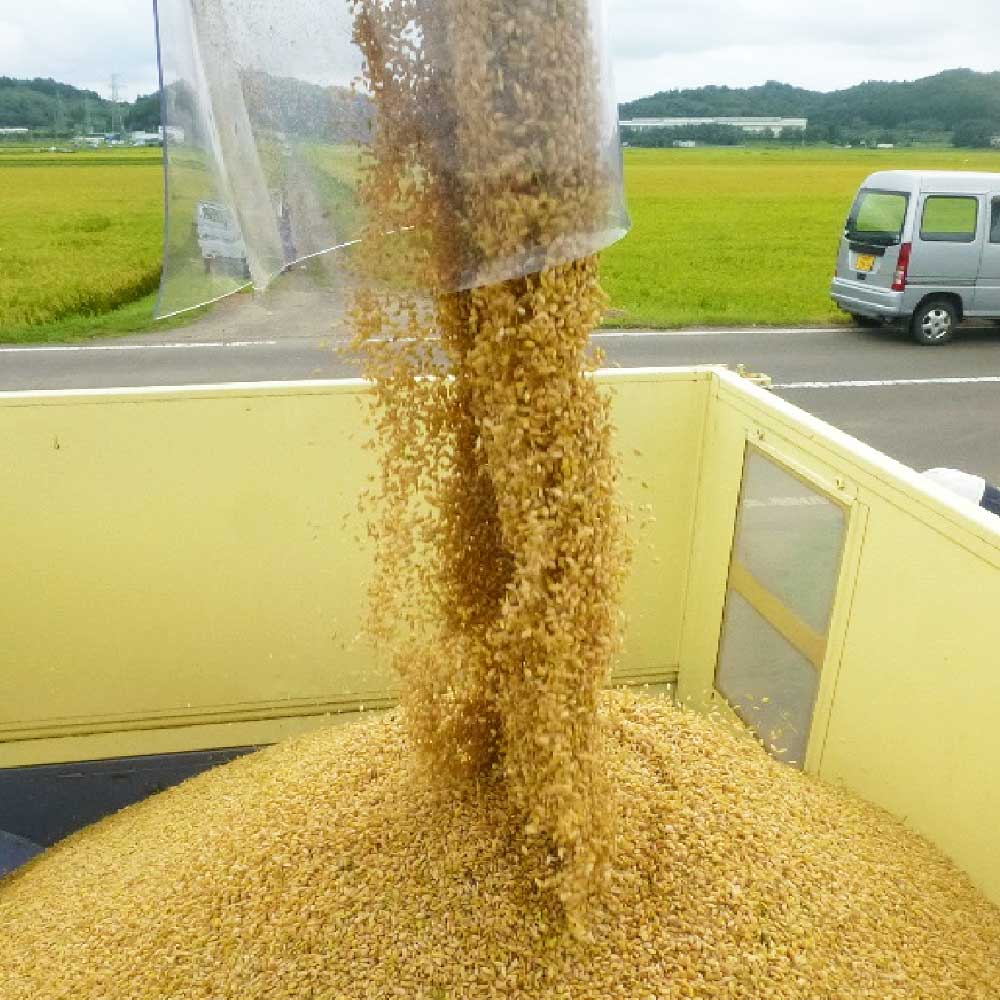 【ふるさと納税】【令和7年産米】蔵王源流米 ひとめぼれ精米 5kg ＜選べるお届け回数＞ 5kg×3回・計15kg／5kg×5回・計25kg／5kg×10回・計50kg 定期便【04301-0958・162～164】 - 画像3