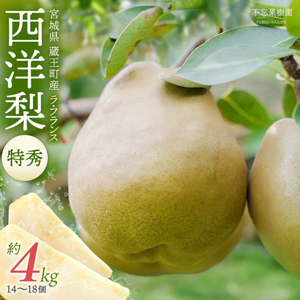 【先行予約】厳選 おいしいラ・フランス約4kg（14～18個） 蔵王産　【04301-0151】