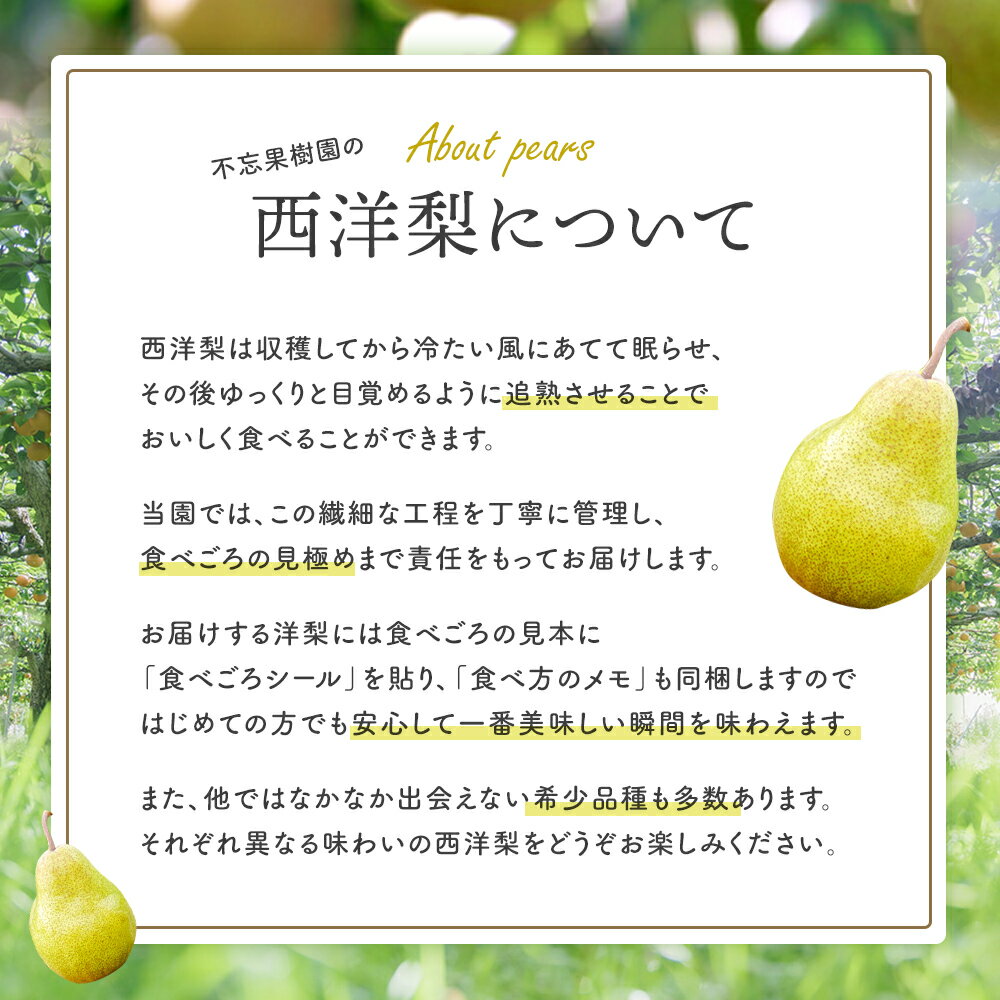 【ふるさと納税】【先行予約】厳選 おいしいラ・フランス約4kg（14～18個） 蔵王産　【04301-0151】 サムネイル3