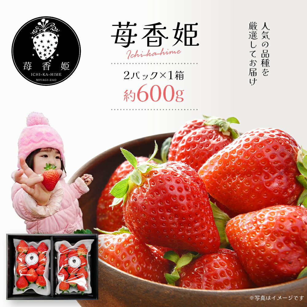 苺1箱（2パック入り/大きい苺/化粧箱）苺香姫〜ICHI-KA-HIME〜　【04301-0563】