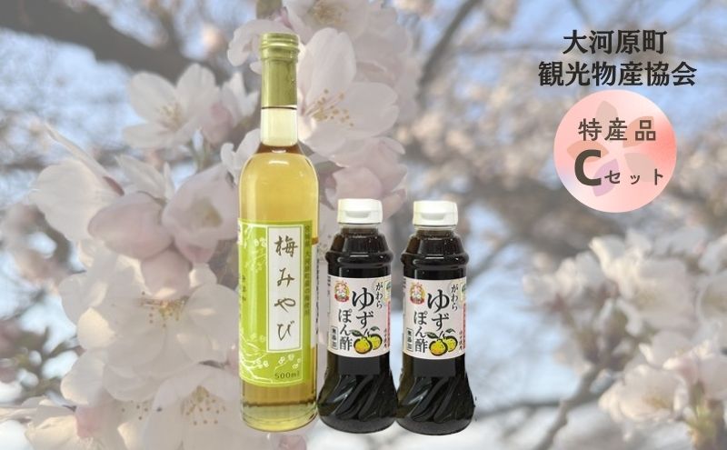 【ふるさと納税】大河原町観光物産協会 特産品Cセット ドレッシング 調味料 ポン酢 柚子 梅 シロップ 果実 詰め合わせ サムネイル2