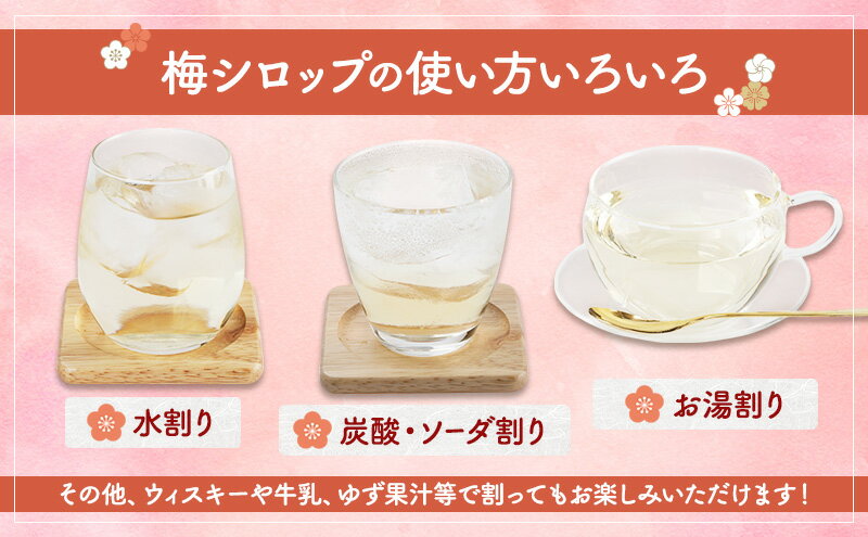 【ふるさと納税】大河原町観光物産協会 特産品Cセット ドレッシング 調味料 ポン酢 柚子 梅 シロップ 果実 詰め合わせ サムネイル3