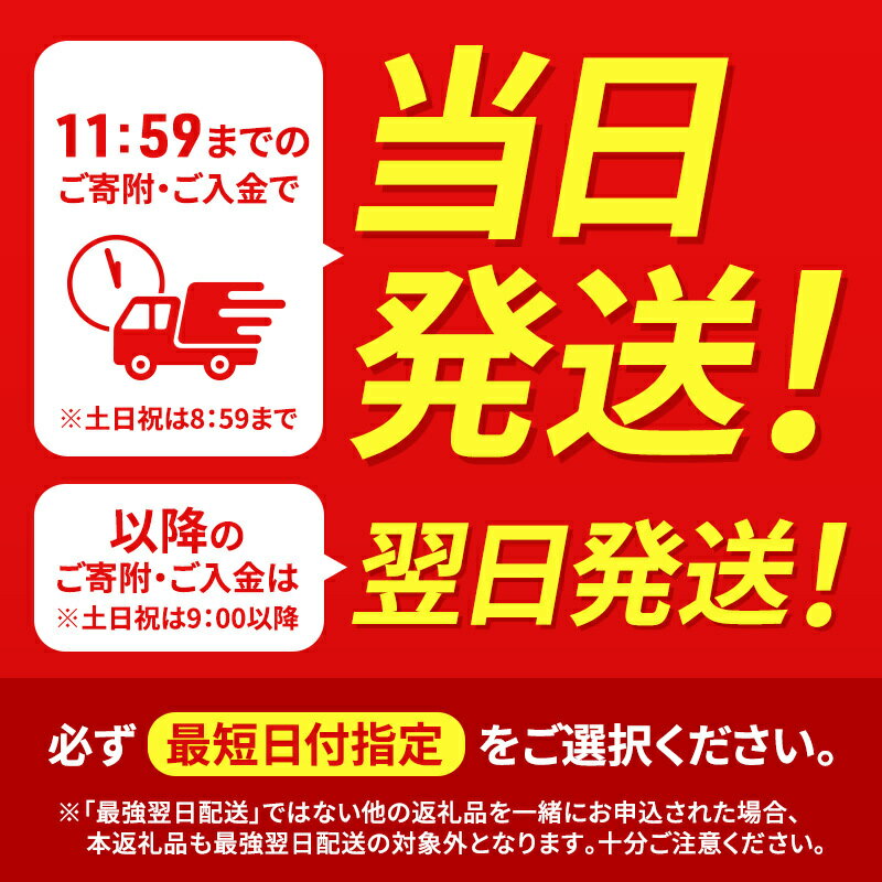 【ふるさと納税】【最短当日発送 選べる！】すぐ届く 布団クリーナー RNFCA-13-C アイボリーアイリスオーヤマ 家電 電化製品 布団掃除機 掃除機 布団用 布団 ふとん ソファ カーペット 花粉 ダニ ダニ退治 水洗い アイリス 宮城 宮城県 大河原町 最強配送 - 画像3