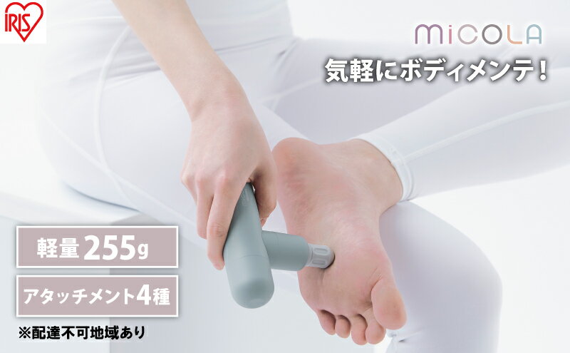 【ふるさと納税】ハンディガン 軽量 MiCOLA ビューティーケアガン FRT-M01-A ブルー アイリスオーヤマ リリースガン 小型 コンパクト ミコラ ボディケア 充電式 USB-typeC ポーチ付 サムネイル2