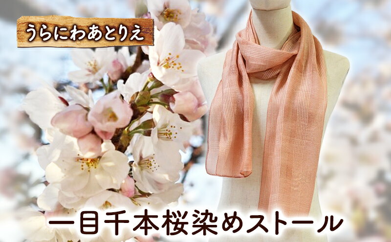 【ふるさと納税】一目千本桜染めストール 桜染め 一目千本桜 ショール シルク ファッション ギフト 贈り物 プレゼント サムネイル2