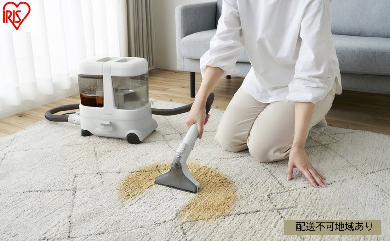 【ふるさと納税】リンサークリーナー RNS-P1600 グレーホワイト アイリスオーヤマ クリーナー カーペットクリーナー カーペット洗浄機 丸洗い ソファー 絨毯 じゅうたん 車 車内洗浄 家庭用 シート カーペット クッション ラグ 大掃除 猫 犬 ペット おすすめ 人気 サムネイル2