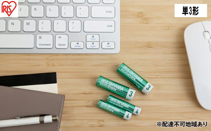【ふるさと納税】乾電池 BIGCAPA basic plus アルカリ乾電池 単3形4本パック LR6Bbp/4S 乾電池 単3 4本パック 10年 防災 非常用 防災用品 サムネイル2