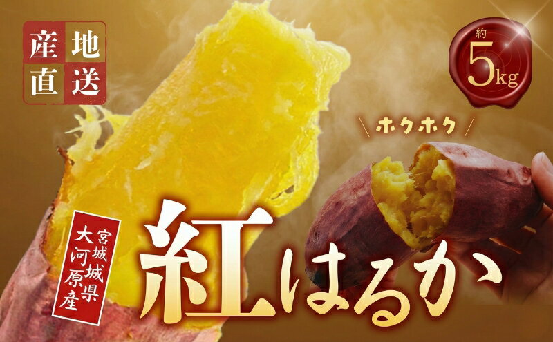 【ふるさと納税】さつまいも 約5kg 紅はるか サツマイモ 宮城県産 甘い 秋 冬 スイーツ いも 産地直送 宮城県 大河原町　お届け：2026年11月1日～2027年2月28日 - 画像2