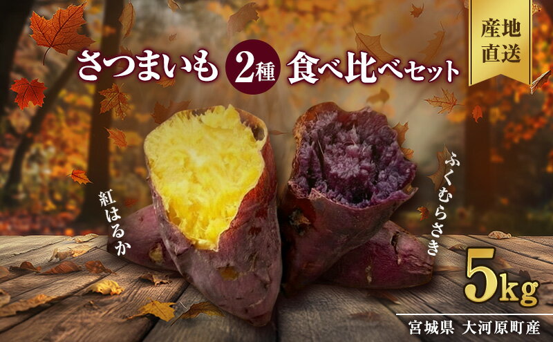 【ふるさと納税】さつまいも 約5kg 2種詰合せ 紅はるか ふくむらさき サツマイモ 宮城県産 甘い 秋 冬 スイーツ 産地直送 宮城県 大河原町　お届け：2026年11月1日～2027年2月28日 - 画像2