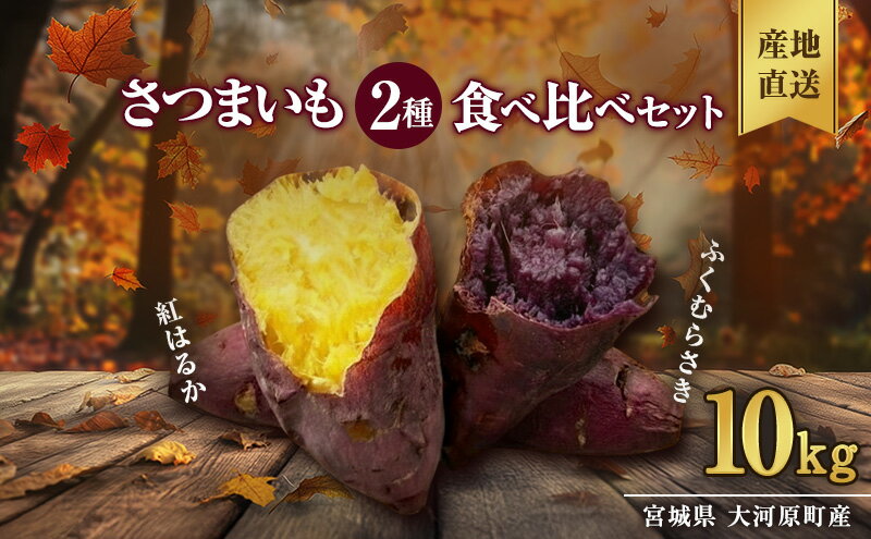 【ふるさと納税】さつまいも 約10kg 2種詰合せ 紅はるか ふくむらさき サツマイモ 宮城県産 甘い 秋 冬 スイーツ 産地直送 宮城県 大河原町　お届け：2026年11月1日～2027年2月28日 - 画像2